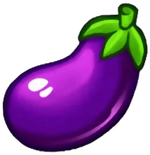 eggplant